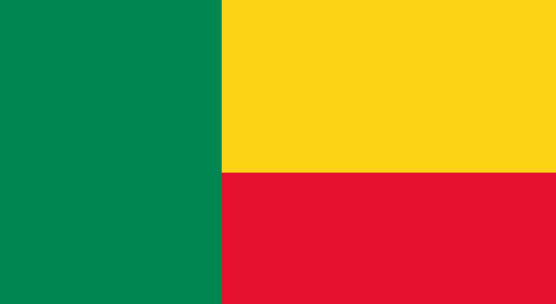 The flag of Benin
