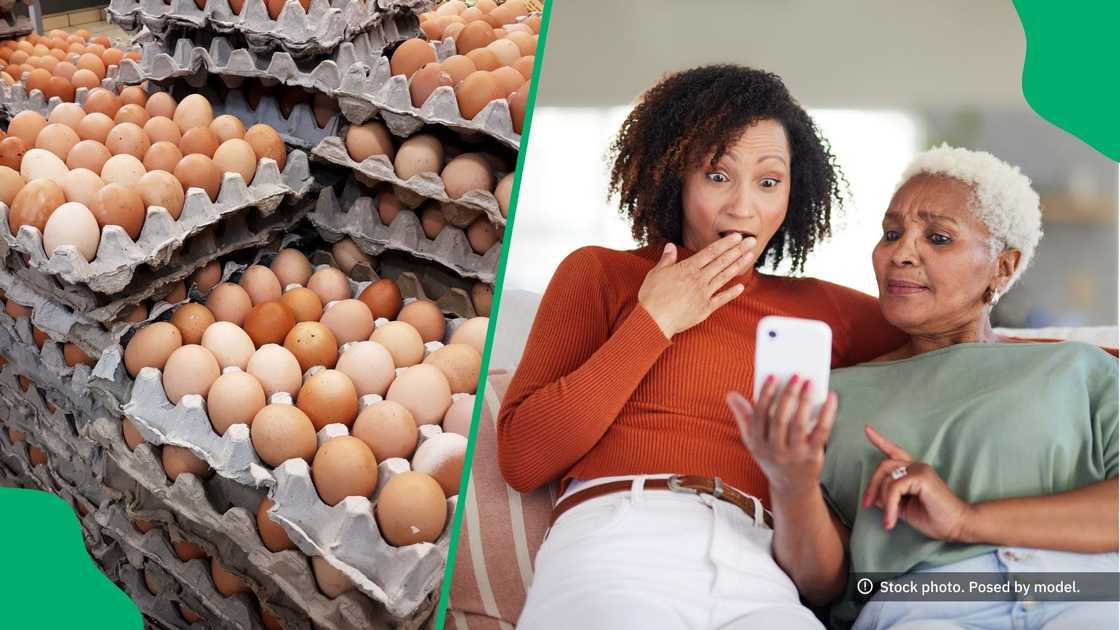 The price of eggs surprised shoppers. The price of eggs surprised shoppers.