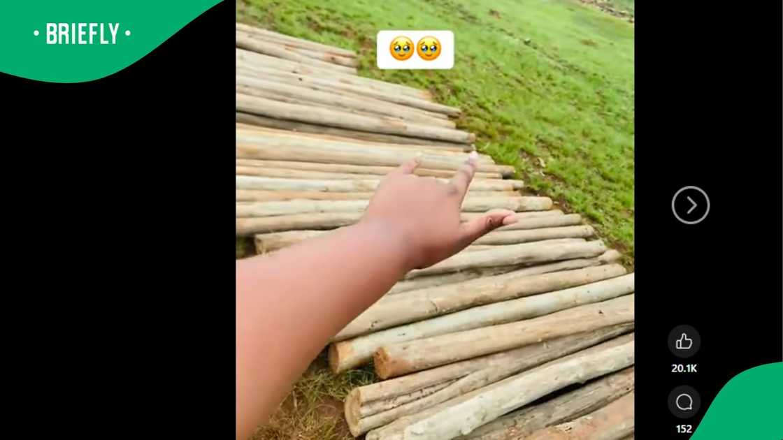 A post went viral. A post went viral.