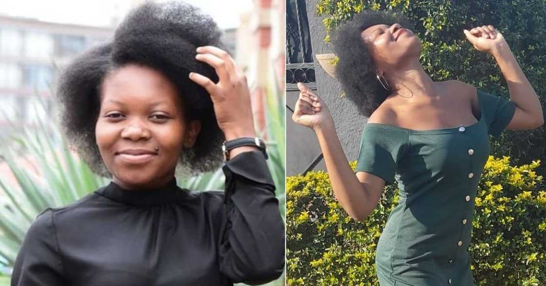 new job, employed, unemployed, good news new job, employed, unemployed, good news