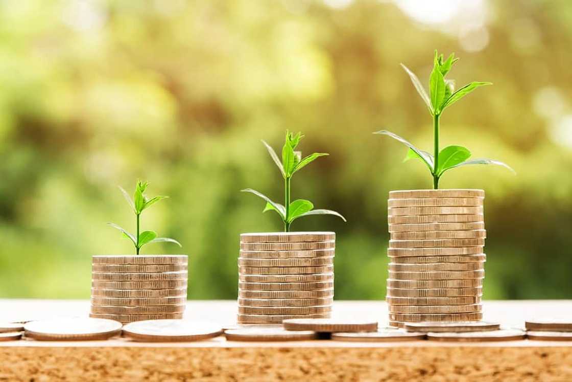 Fastest growing industries in South Africa 2021 Fastest growing industries in South Africa 2021
