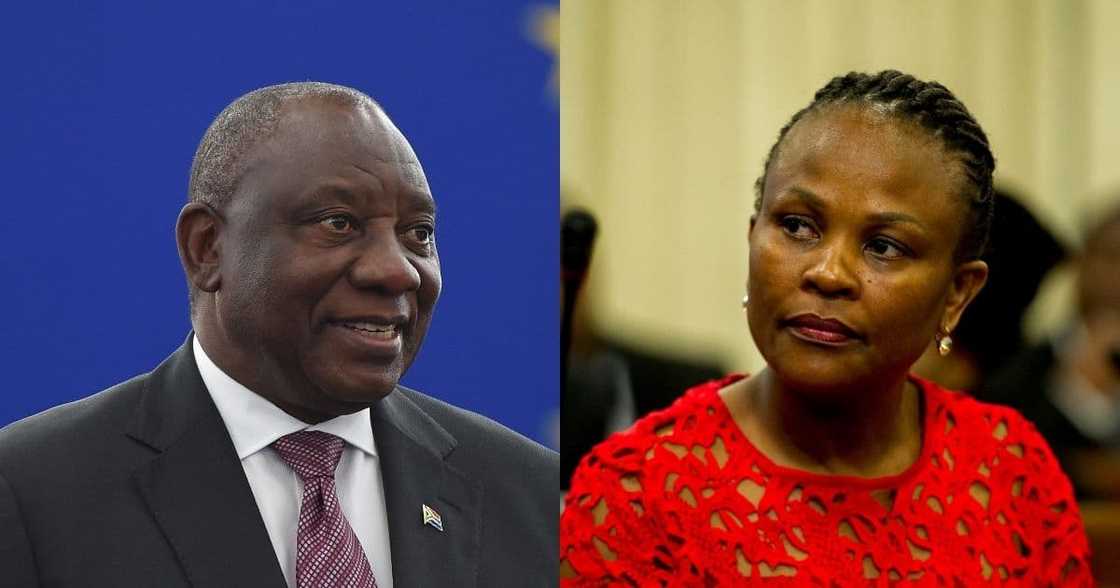 President Cyril Ramaphosa, Public Protector Busisiwe Mkhwebane, Constitutional Court, perjury, NPA