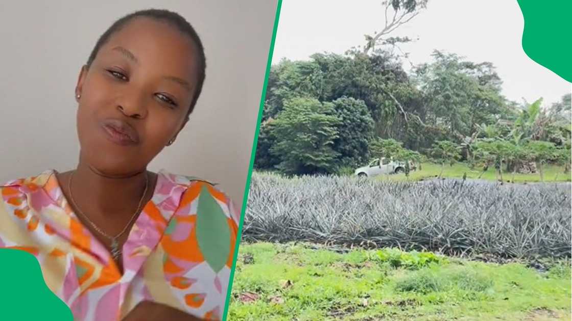 Woman starts internship in America