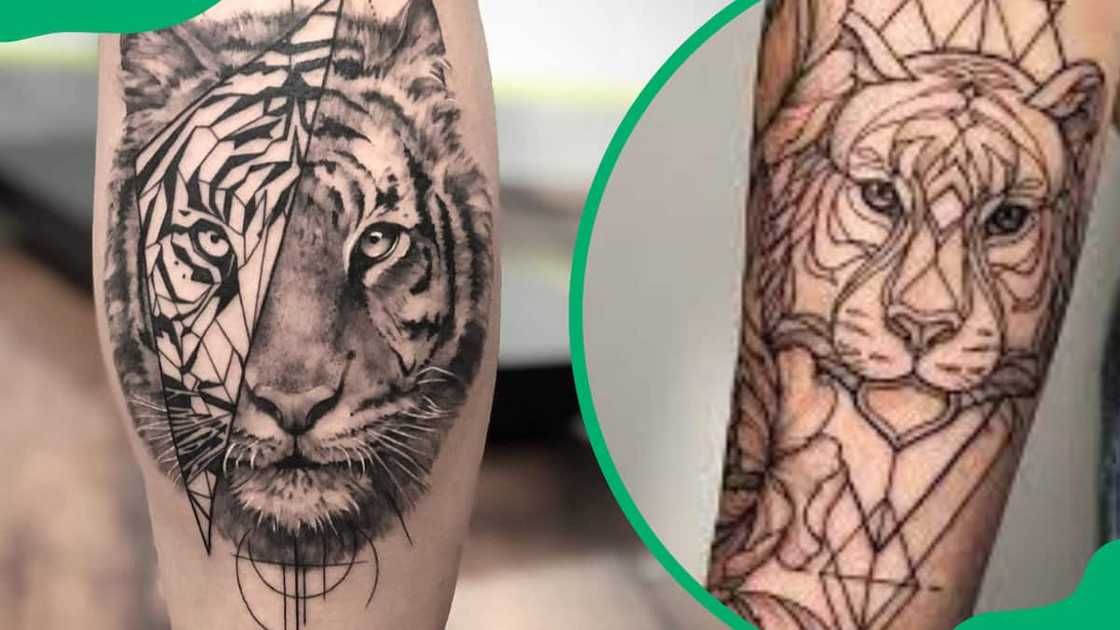 Geometric tiger tattoo design Geometric tiger tattoo design
