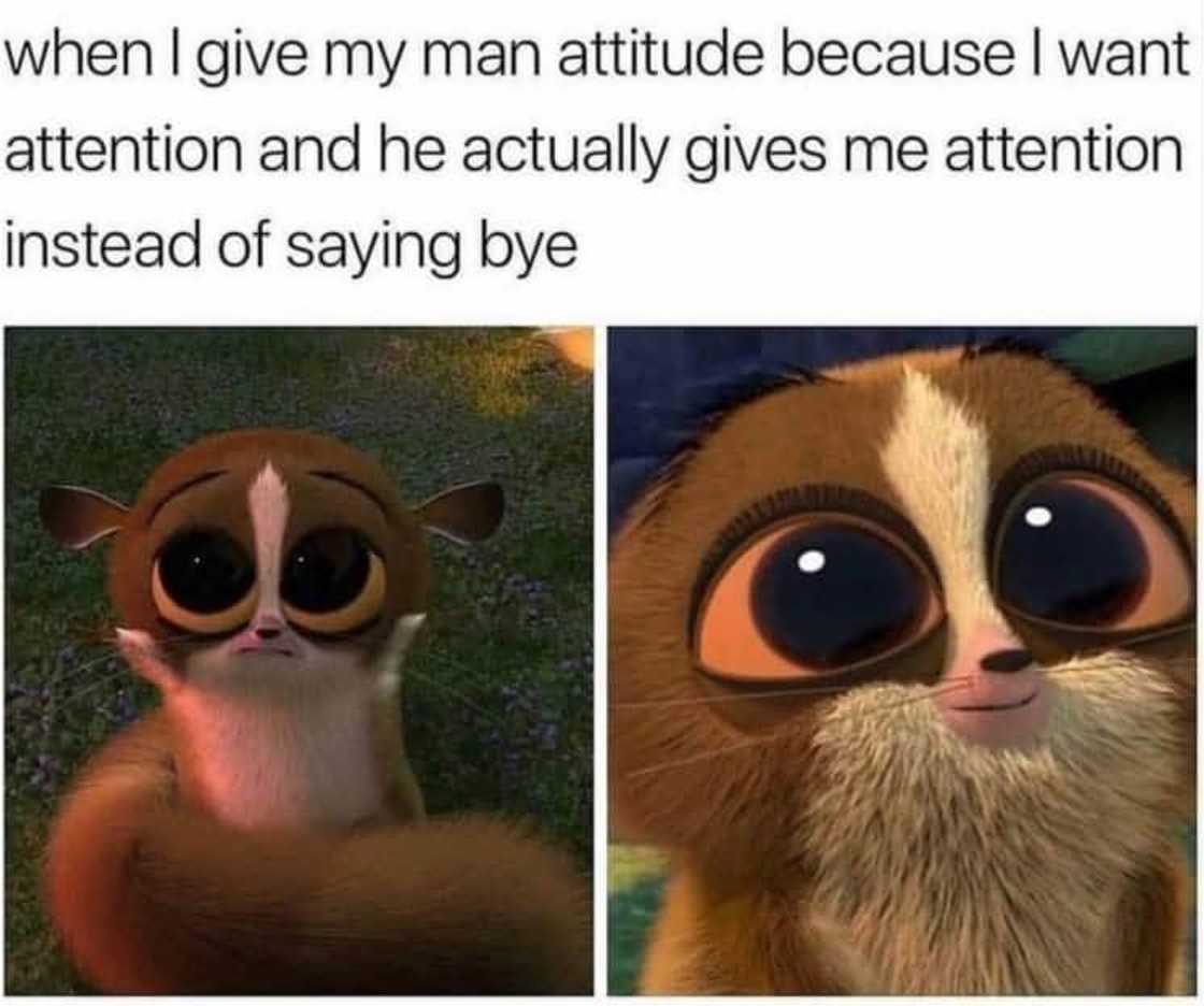 relationship memes relationship memes