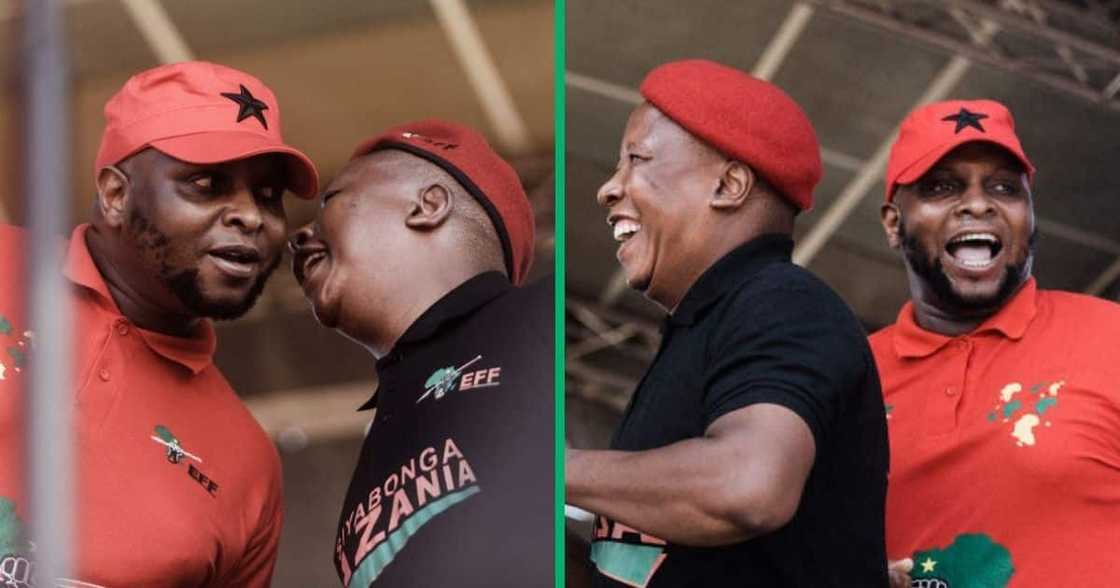 Floyd Shivambu hit back at speculation that there was a division between him and EFF leader Julius Malema Floyd Shivambu hit back at speculation that there was a division between him and EFF leader Julius Malema