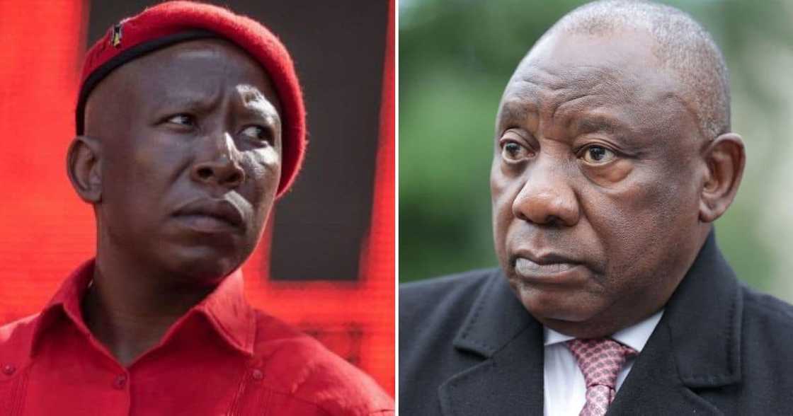 Julius Malema and Cyril Ramaphosa