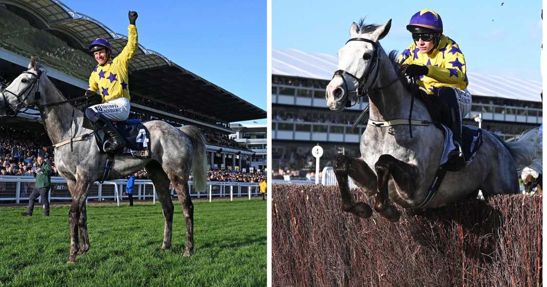 Il Etait Temps is Hollywood Racing’s first National Hunt jump horse, acquired in late 2022