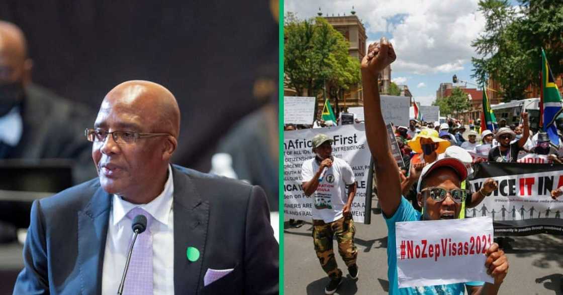 The Supreme High Court of appeal dealt a blow to Aaron Motsoaledi's battle against Zimbabwean Exemption Permits The Supreme High Court of appeal dealt a blow to Aaron Motsoaledi's battle against Zimbabwean Exemption Permits