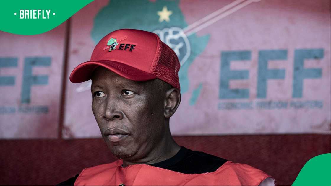 Donald Trump played clips of Julius Malema singing Kill the Boer Donald Trump played clips of Julius Malema singing Kill the Boer