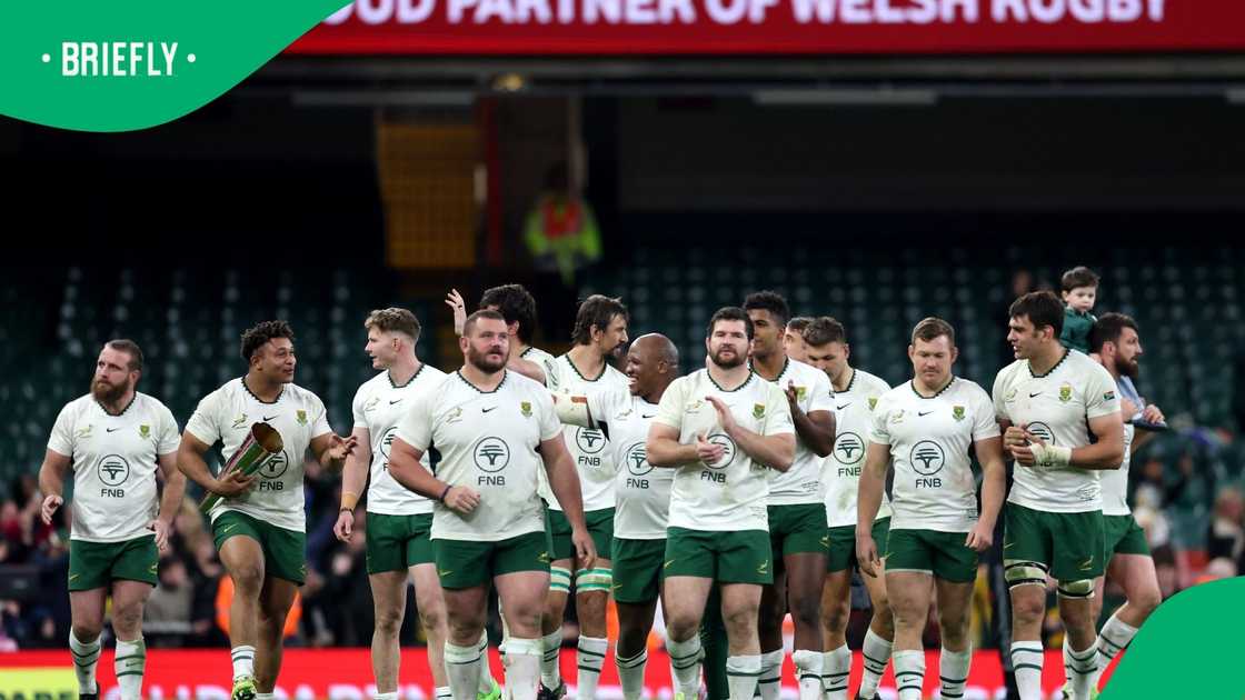 Springboks, South Africa, Quilter Nations Series 2025