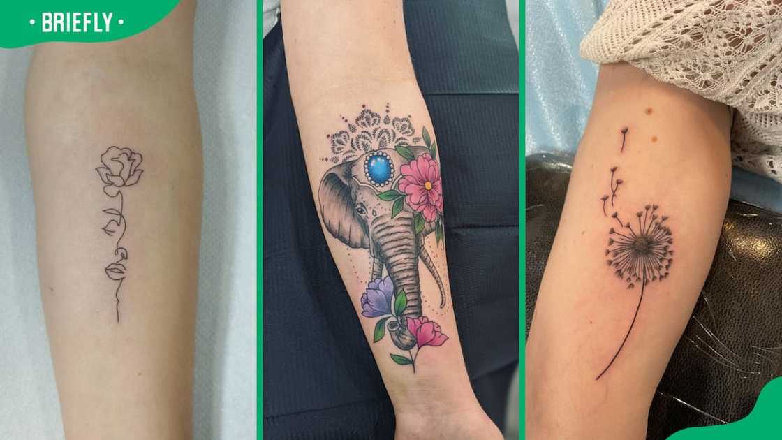 Fine line (L), elephant (C) and dandelion flower tattoos (R) Fine line (L), elephant (C) and dandelion flower tattoos (R)