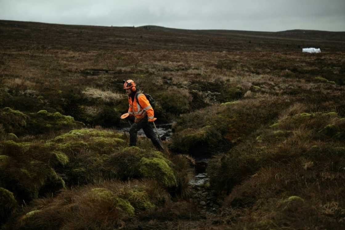 Using transplanted heather, workers undertake the gruelling task wherever gaps exist on the vast terrain Using transplanted heather, workers undertake the gruelling task wherever gaps exist on the vast terrain