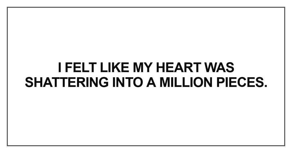 I felt like my heart was shattering into a million pieces I felt like my heart was shattering into a million pieces