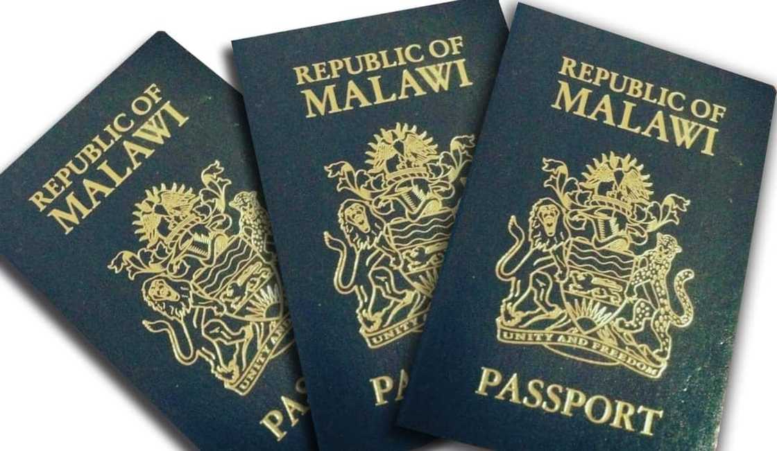 Here are the 7 most powerful passports in Africa right now