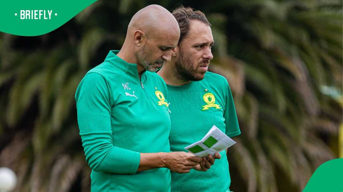 Mamelodi Sundowns coach Miguel Cardoso is finding his feet at Masandawana.