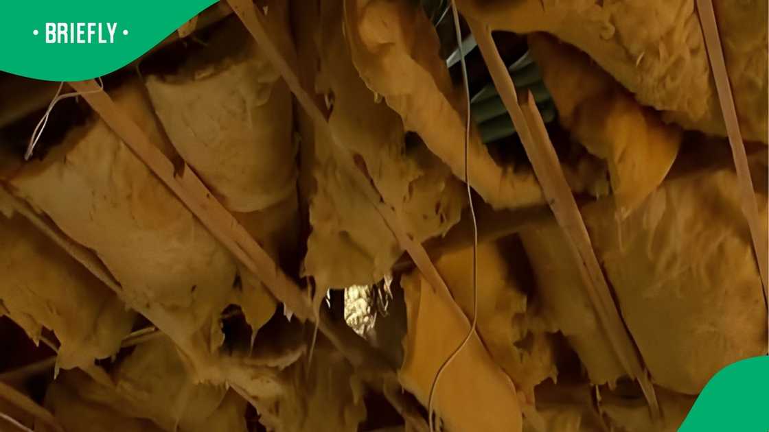 Limpopo School Ceiling Collapse Leaves 20 Injured, SA Divided As Parents Demand Mobile Classrooms Limpopo School Ceiling Collapse Leaves 20 Injured, SA Divided As Parents Demand Mobile Classrooms