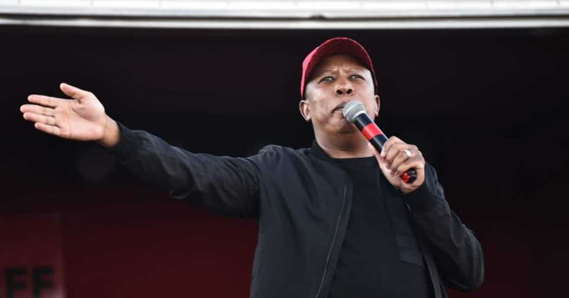 Malema, EFF, Israel, Covid 19