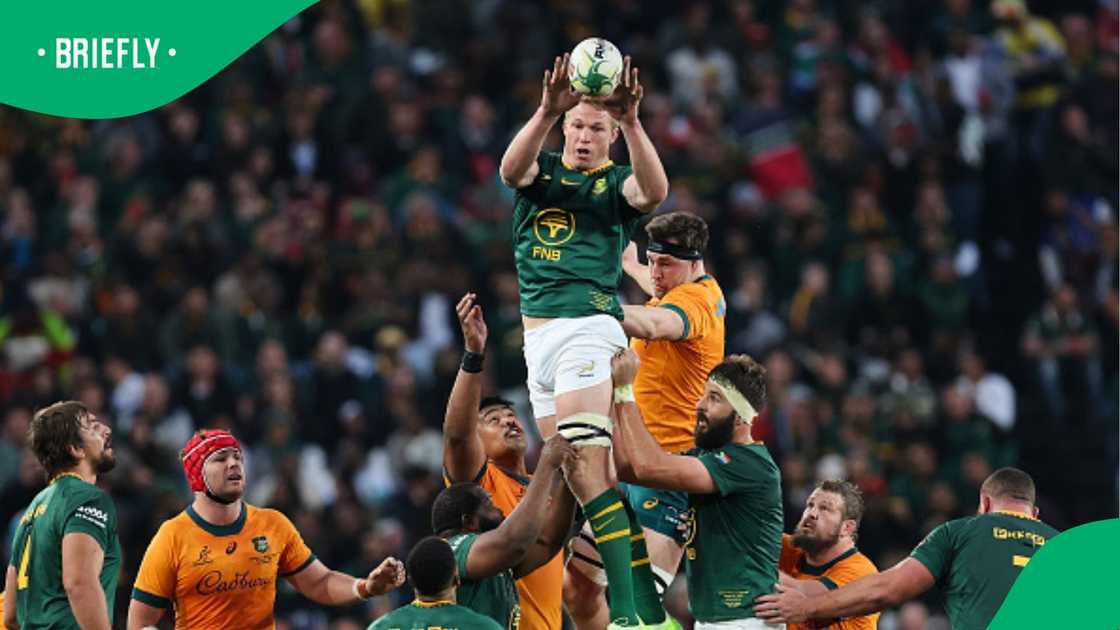 Springboks, Rugby World Cup, New Zealand