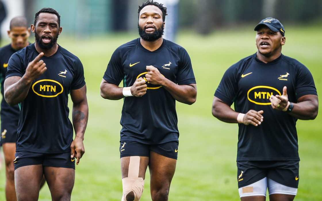 Springbok players warming up during practice