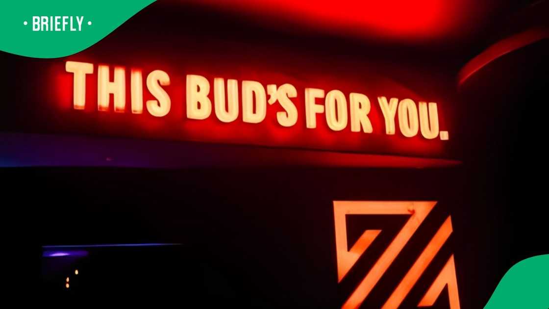 Zanzou's former co-owner has spoken out Zanzou's former co-owner has spoken out