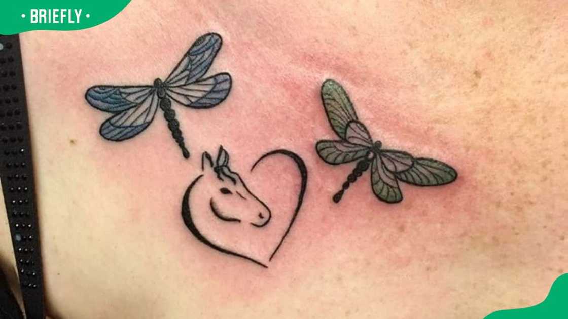Heart dragonfly tattoo Heart dragonfly tattoo