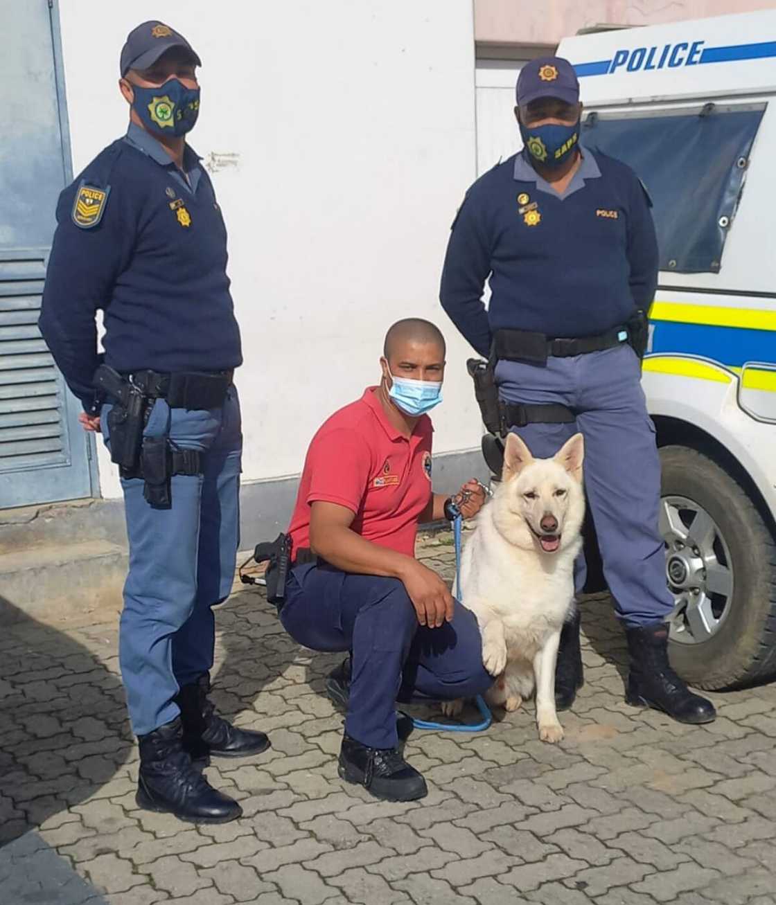 Dog unit rescues, missing toddler, crime, SAPS