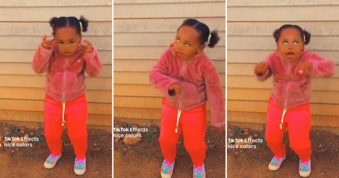 SA little girls pulls off the scary 'Kilimanjaro' dance challenge SA little girls pulls off the scary 'Kilimanjaro' dance challenge