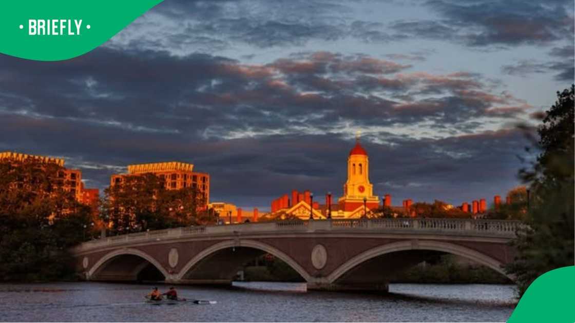 A view of Harvard University. A view of Harvard University.