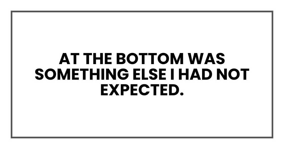 At the bottom was something else I had not expected.