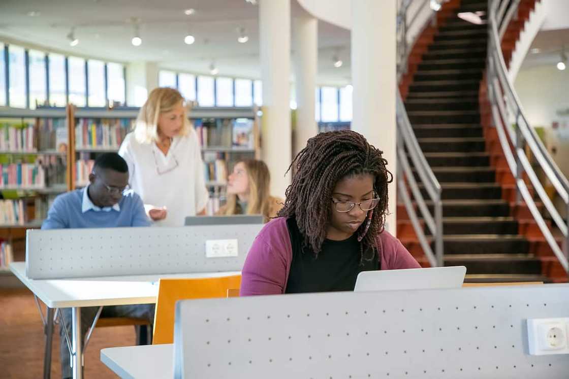 Students using laptops in the library Students using laptops in the library