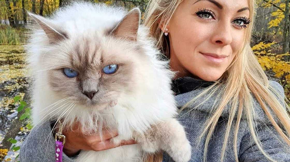 Angelica Larsson Angelica Larsson