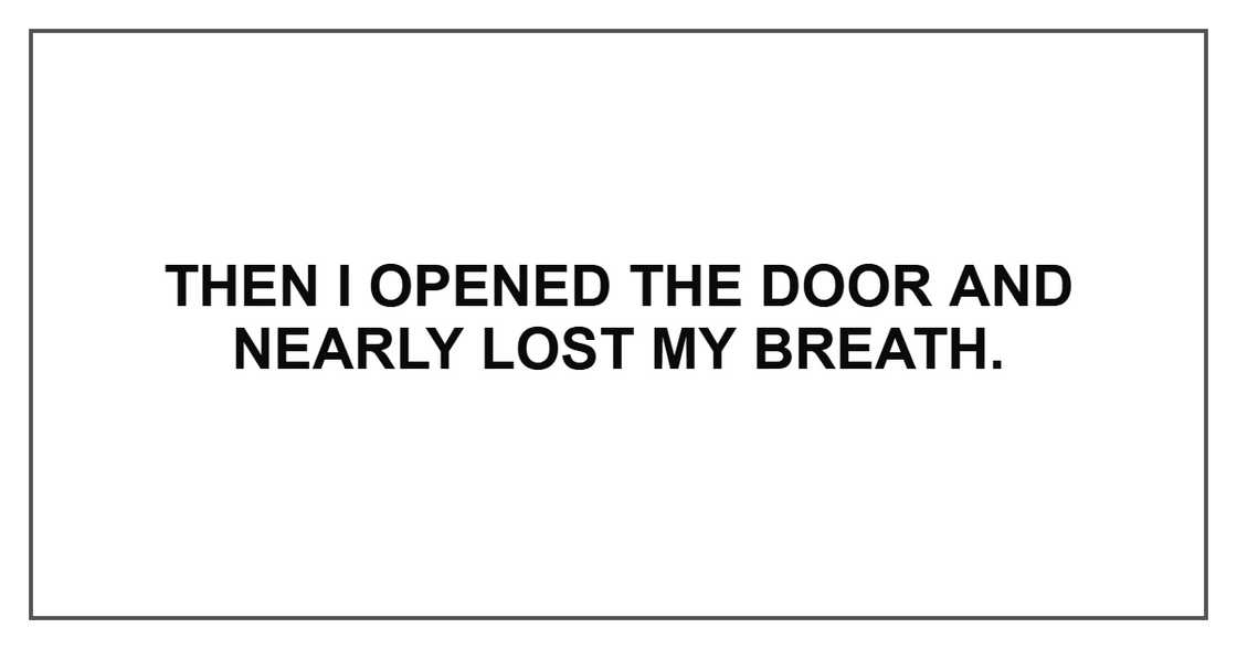 Then I opened the door and nearly lost my breath. Then I opened the door and nearly lost my breath.