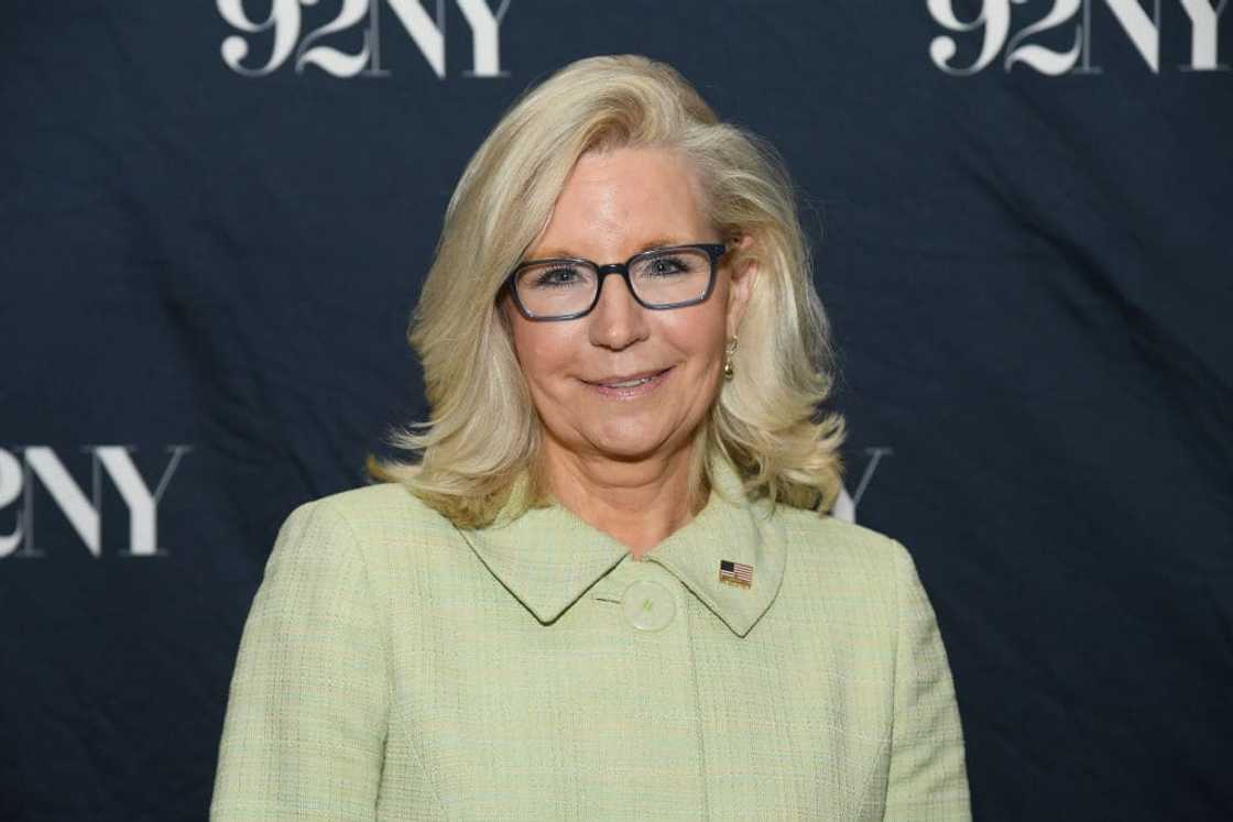 Liz Cheney background