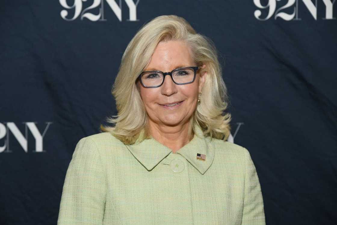 Liz Cheney background Liz Cheney background