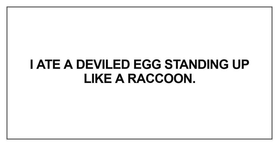 I ate a deviled egg standing up like a raccoon I ate a deviled egg standing up like a raccoon