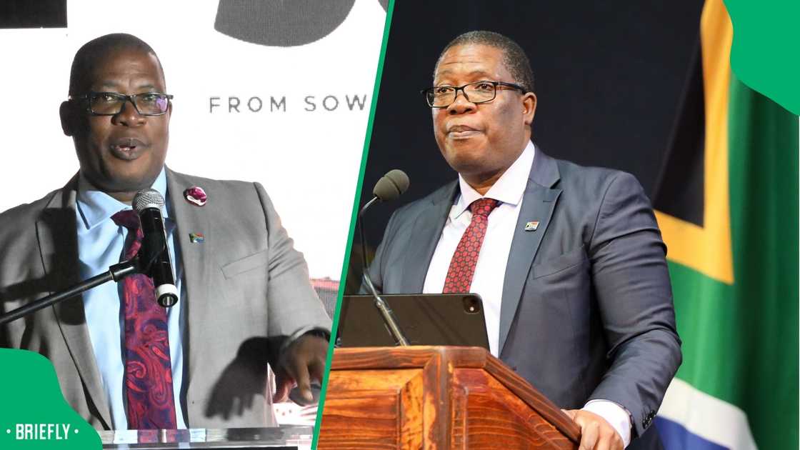 SAHRC challenges Panyaza Lesufi's plan to evict illegal immigrants SAHRC challenges Panyaza Lesufi's plan to evict illegal immigrants