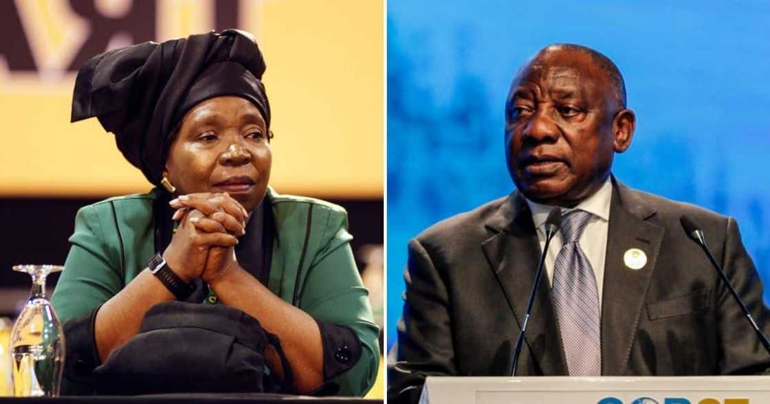 Nkosazana Dlamini Zuma votes against President Cyril Ramaphosa