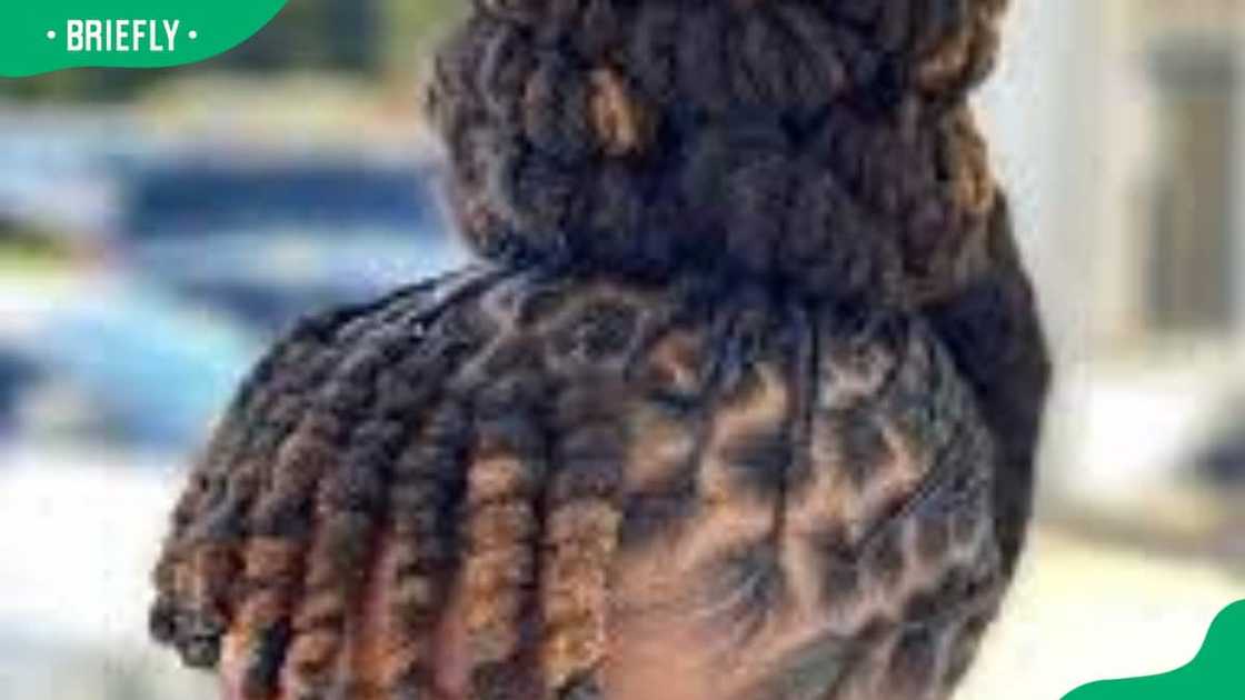 wedding dreadlocks styles wedding dreadlocks styles