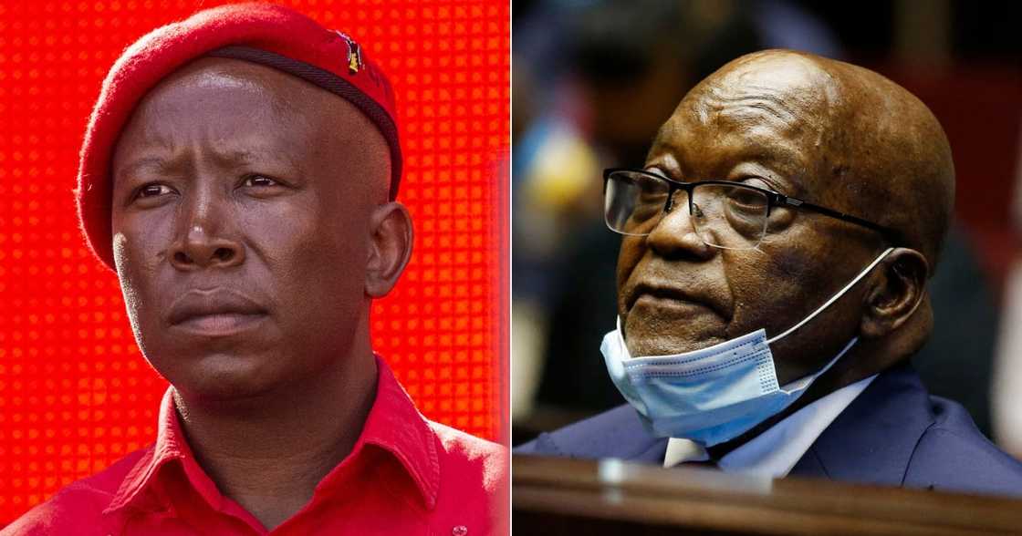 EFF Leader Julius Malema Says Seeing Zuma Going To Jail Was Painful EFF Leader Julius Malema Says Seeing Zuma Going To Jail Was Painful