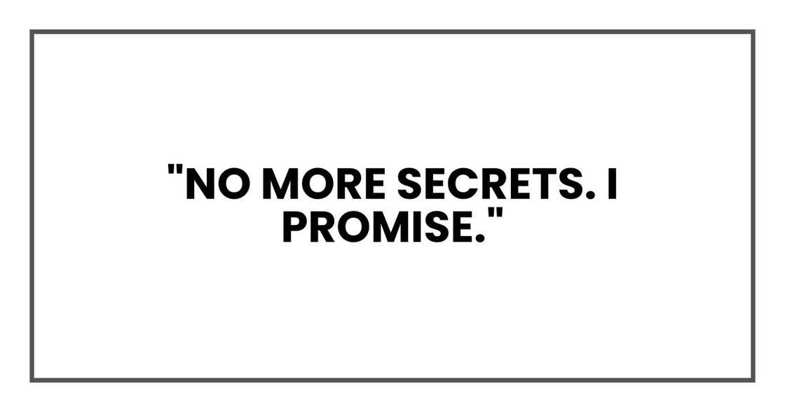 "No more secrets. I promise." "No more secrets. I promise."