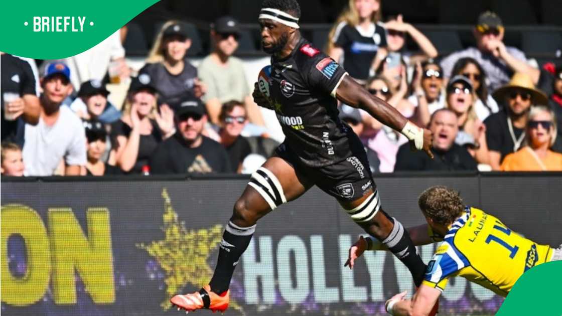 Sharks captain Siya Kolisi is challenged by Scott Gregory of Zebre Parma during the United Rugby Championship match at Kings Park in Durban, South Africa. Sharks captain Siya Kolisi is challenged by Scott Gregory of Zebre Parma during the United Rugby Championship match at Kings Park in Durban, South Africa.