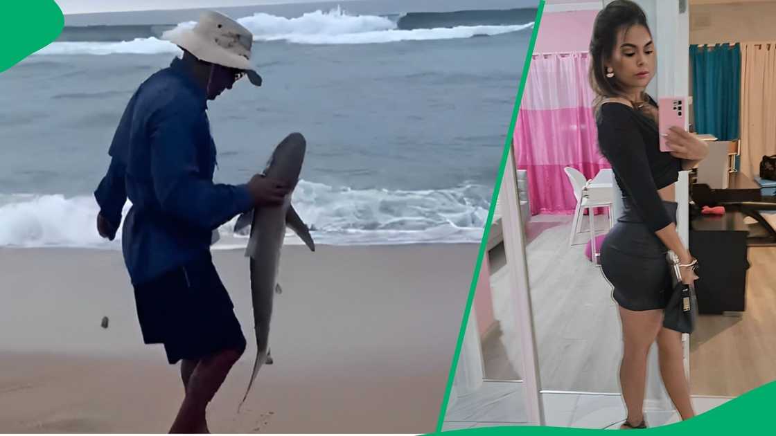 Woman's post on fishermen catching sharks goes viral. Woman's post on fishermen catching sharks goes viral.