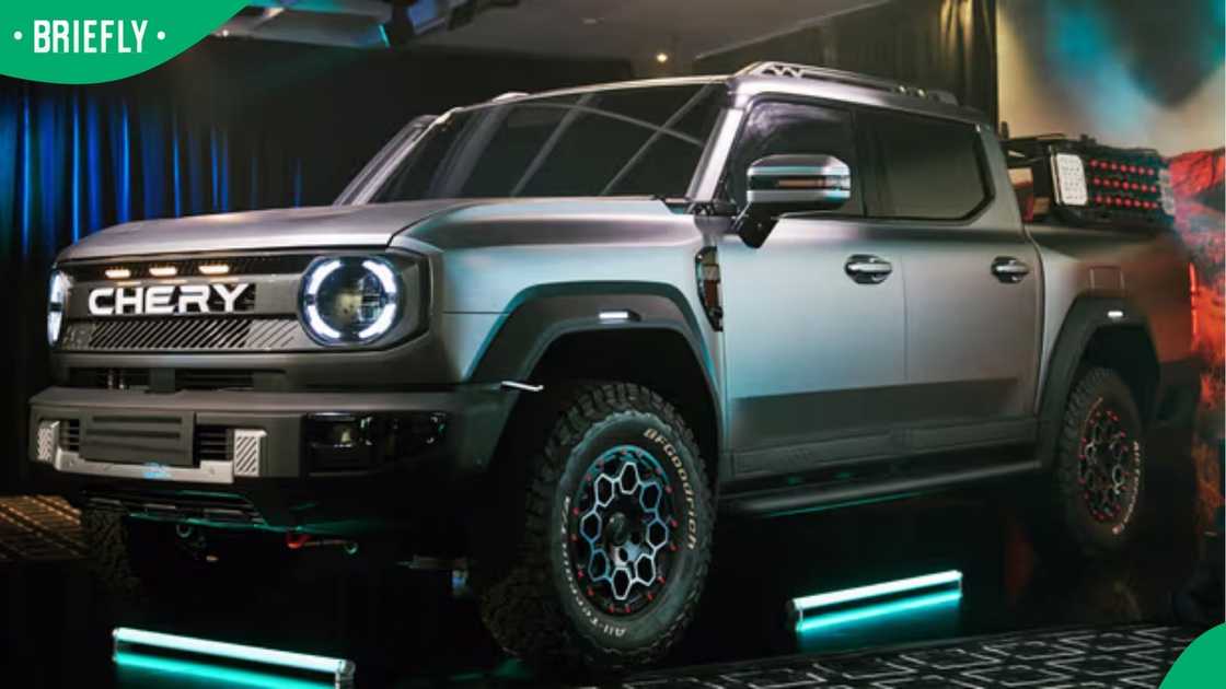Concept of the bakkie