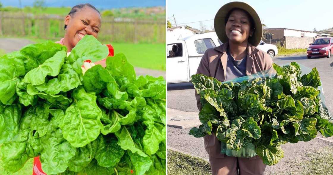 The farmer from KZN finds joy and peace through working with soil and gardening The farmer from KZN finds joy and peace through working with soil and gardening