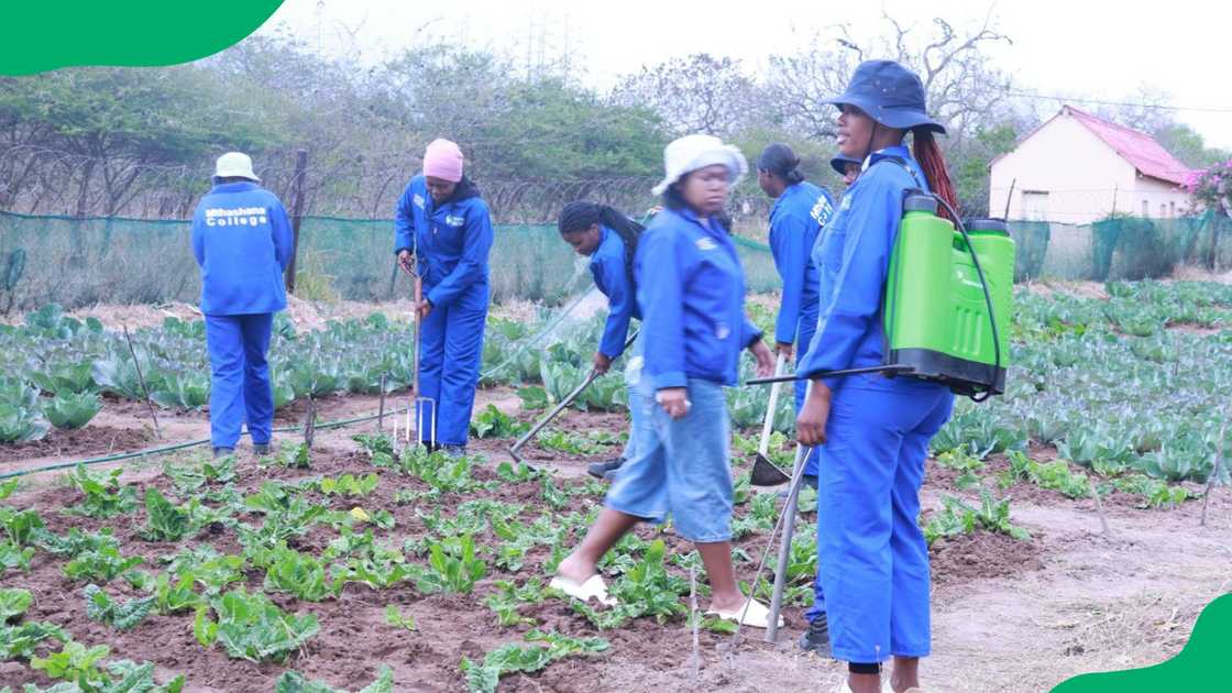 Mthashana TVET College Agricuture students. Mthashana TVET College Agricuture students.