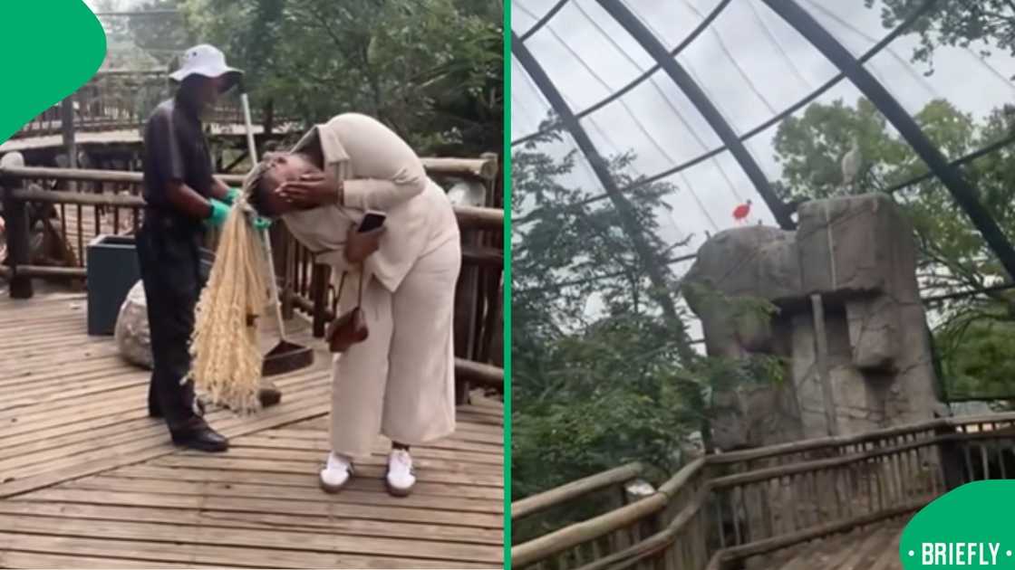 Park staff helping free the bird as onlookers laughed at the unexpected and light-hearted scene