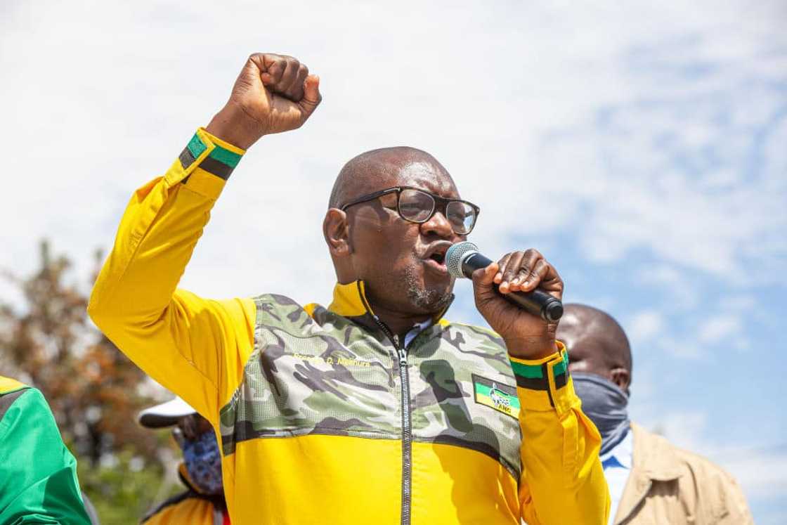 David Makhura, ANC, local government elections