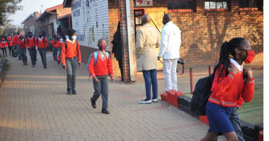 Democratic Alliance, DA, Government, Department of Basic Education, Department of Social Development, Curriculum, Recovery plan, Lockdown, Rotational schooling, Covid 19, Pandemic, Infections, Shadow Minister Democratic Alliance, DA, Government, Department of Basic Education, Department of Social Development, Curriculum, Recovery plan, Lockdown, Rotational schooling, Covid 19, Pandemic, Infections, Shadow Minister