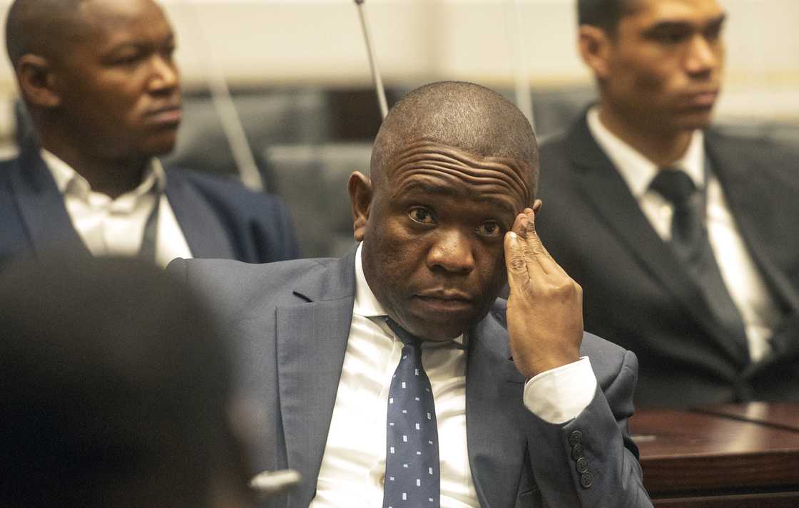 General Nhlanhla Mkhwanazi testified about the Gauteng Crime Prevention Wardens in Parliament